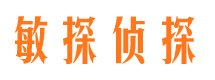 吴起市调查公司